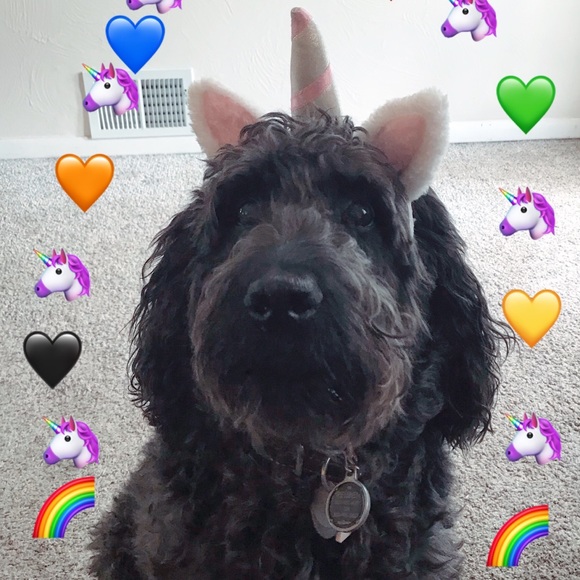 Meet your Posher, Stephanie - Picture 1 of 1